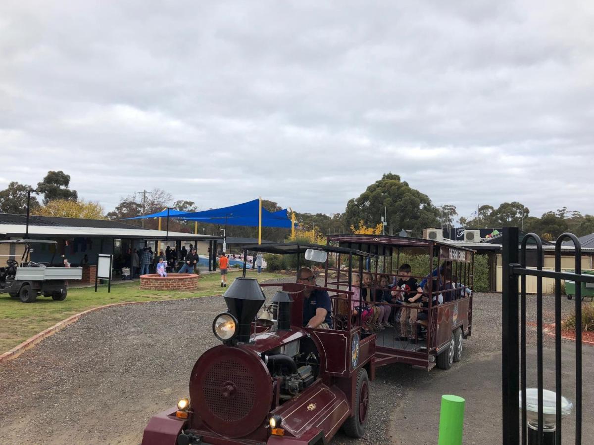 Big4 Bendigo Park Lane Holiday Park المظهر الخارجي الصورة